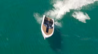 Tropic - GTA 6 Boats by Shitzu